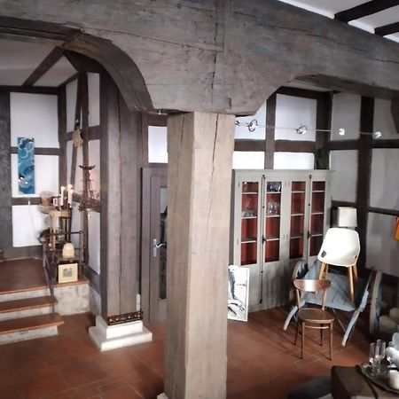 Historische Raume Uber Mittelaltergewolbe Mit Terrasse Apartamento Érfurt Exterior foto