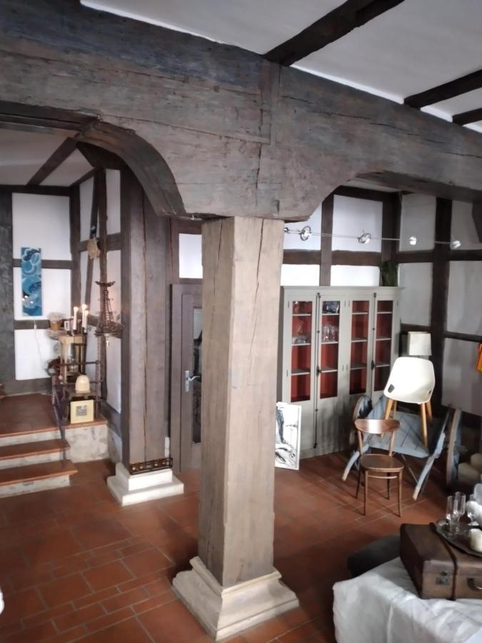 Historische Raume Uber Mittelaltergewolbe Mit Terrasse Apartamento Érfurt Exterior foto
